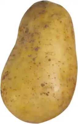 Gamm vert Pomme de terre bintje offre