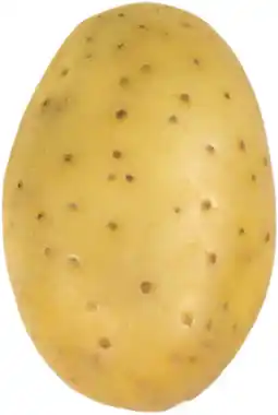 Gamm vert Pomme de terre allongée à chair ferme offre