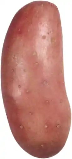 Gamm vert Pomme de terre chérie offre