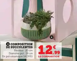 Super U Sadvig composition de succulentes offre