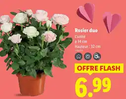 Lidl Rosier duo offre