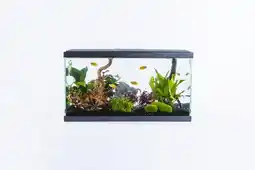 Jardiland Pure family aquarium tropical 60 pure family offre