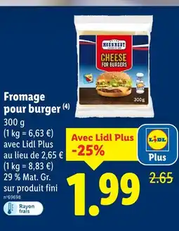 Lidl Mcennedy cheese for burgers offre