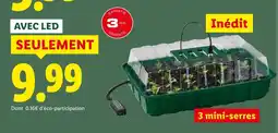 Lidl 3 mini-serres avec led offre