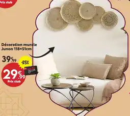 Maxi Bazar Décoration murale junon offre