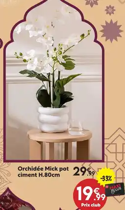 Maxi Bazar Orchidée mick pot ciment h.80cm offre