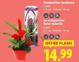 Lidl Composition tendresse offre