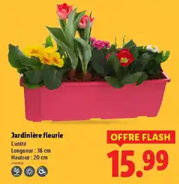 Lidl Jardinière fleurie offre