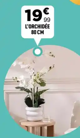 Centrakor L'orchidée 80 cm offre