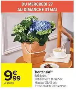 Centrakor La panière à linge evasee offre