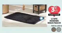 Centrakor Le tapis microfibre boules offre