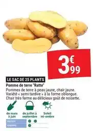 Gamm vert Mars - le sac de 25 plants pomme de terre offre