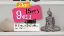 Kandy Statue Bouddha offre