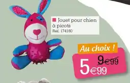 Kandy Jouet pour chien à picots offre