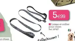 Kandy Laisse et collier pour chien offre