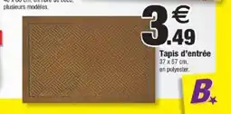 Bazarland Tapis d'entrée offre