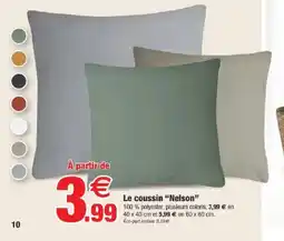 Bazarland Le coussin Nelson offre