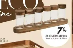 La Foir'Fouille Lot de 5 pots à épices offre