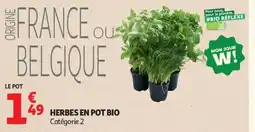 Auchan Herbes en pot bio offre