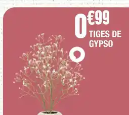 La Foir'Fouille Tiges de gypso offre