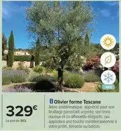Carrefour Drive Olivier forme toscane offre