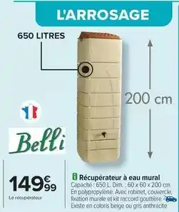 Carrefour Drive Belli - récupérateur à eau mural offre