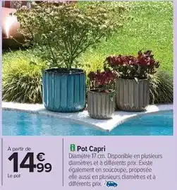 Carrefour Drive Pot capri offre