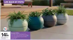 Carrefour Drive Bebe-fourie-de-for-it offre