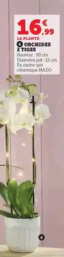 Super U Orchidee offre