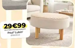 L'incroyable Pouf lubin offre