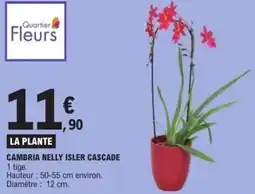 E.Leclerc Cambria nelly isler cascade offre