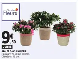 E.Leclerc Azalée dans vannerie offre