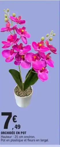 E.Leclerc Orchidée en pot offre