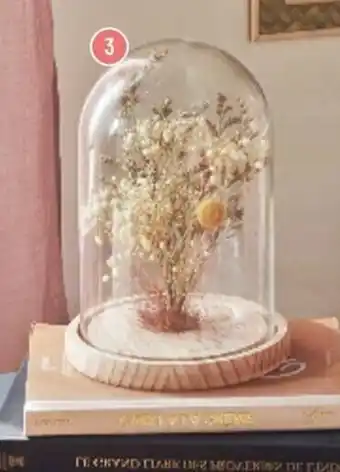 Cloche fleur séchée