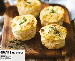 Croque Gel 6 Gratins dauphinois offre