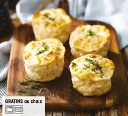 Croque Gel 12 gratins dauphinois offre