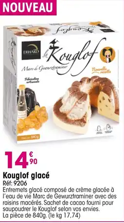 Croque Gel Kouglof glacé offre