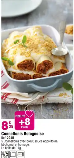 Croque Gel Cannellonis bolognaise offre
