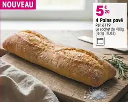 Croque Gel 4 Pains pavé offre