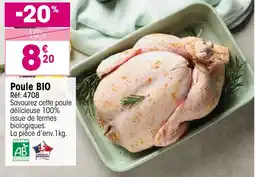 Croque Gel Poule bio offre