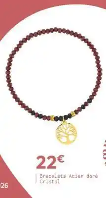 Carrefour Bracelet offre