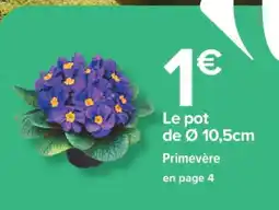 Carrefour PRIMEVÈRE offre