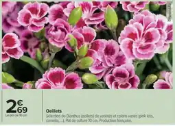 Carrefour Œillets offre