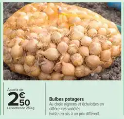 Carrefour Bulbes Potagers offre