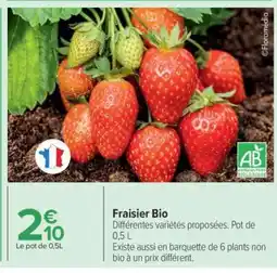 Carrefour Fraisier BIO offre