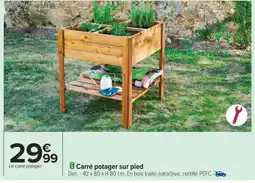 Carrefour Carré potager sur pied offre