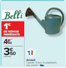Carrefour ARROSOIR offre