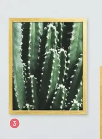 Bricorama Cadre émotion cactus offre
