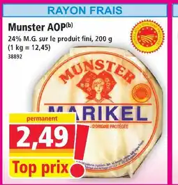 Norma Marikel munster aop offre