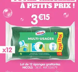b&m Nicols lot de 12 éponges grattantes offre